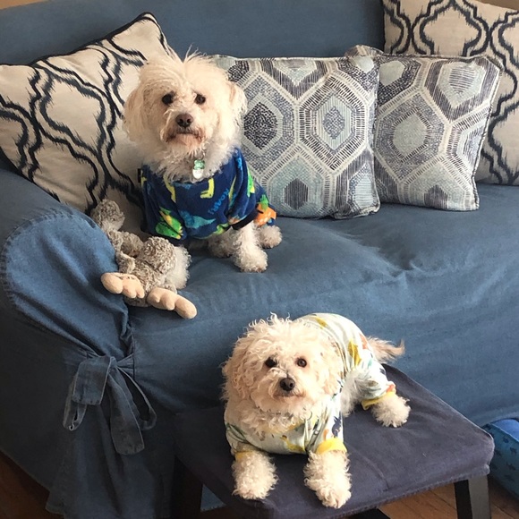 Meet your Posher - Picture 1 of 3